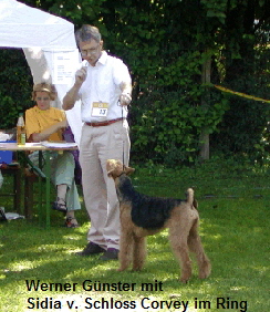 Werner Günster mit  
 Sidia v. Schloss Corvey im Ring