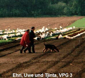 Ehri, Uwe und Tjinta, VPG 3