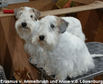 Erasmus v. Ammelbruch und Annie v.d. Löwenburg