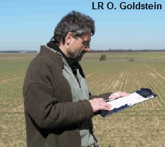LR O. Goldstein
