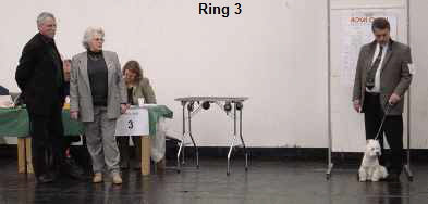 Ring 3